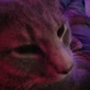 Meet your Posher, Greg